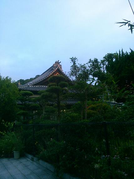 a0114314_1013290.jpg