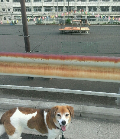 c0084117_21565327.jpg