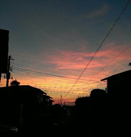 c0084117_2157689.jpg