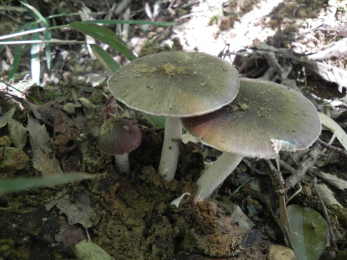 e0352220_17361144.jpg