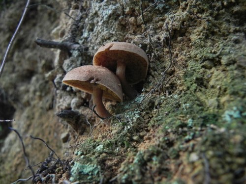 e0352220_21541402.jpg