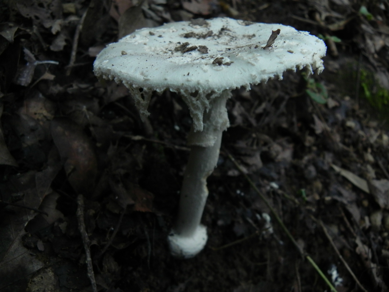 e0352220_22085379.jpg