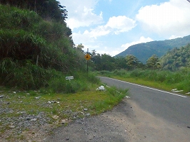 f0193521_8145594.jpg