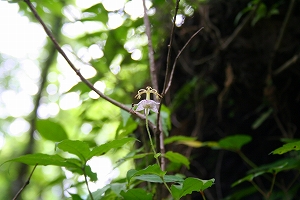 f0193521_8361364.jpg