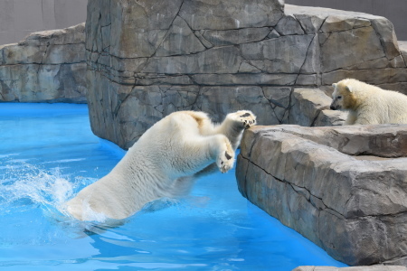 f0344626_23272564.jpg