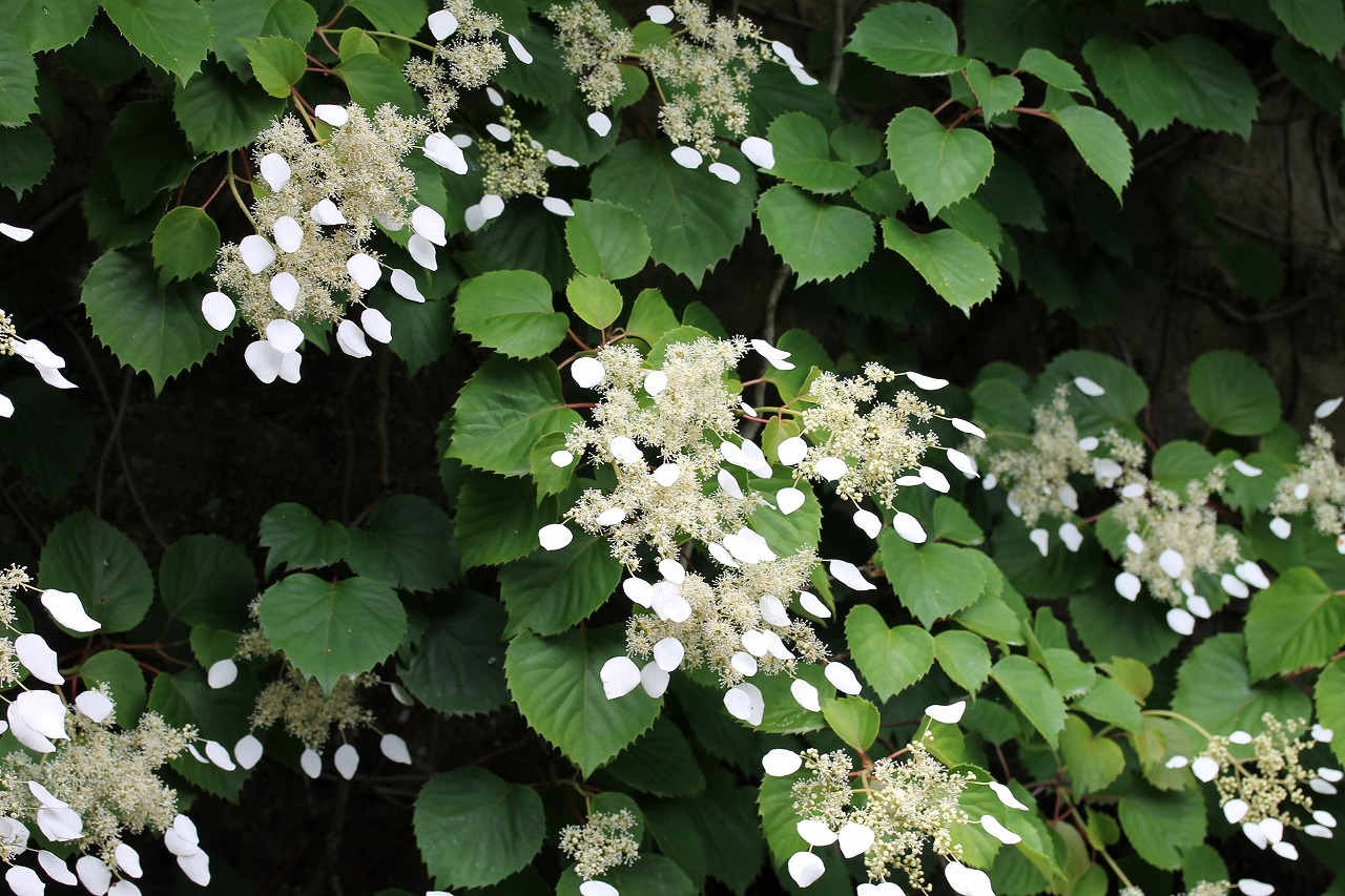 b0162728_16472369.jpg