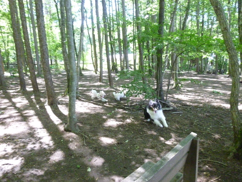 e0191034_19194829.jpg