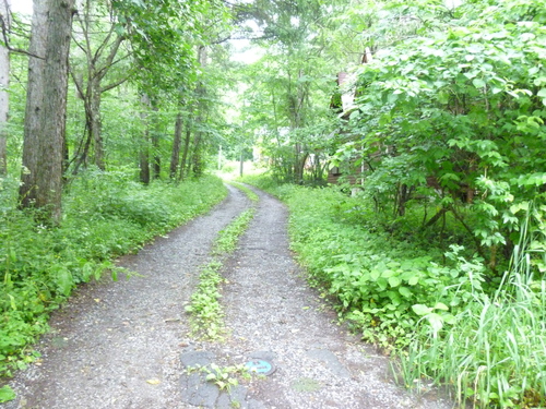 e0191034_21493889.jpg