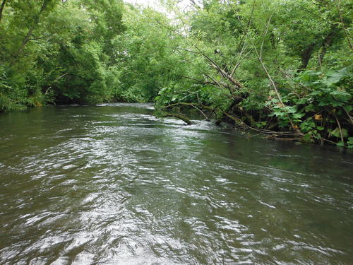 e0262235_20551482.jpg