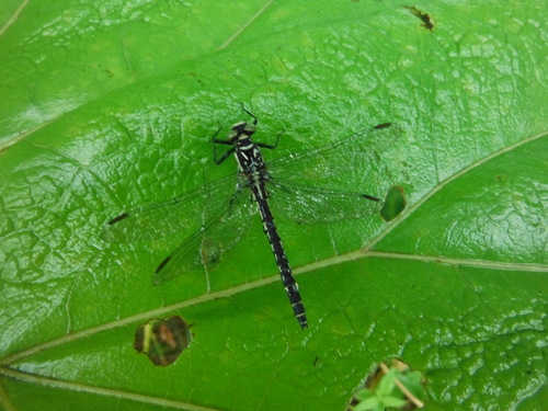 e0262235_21113052.jpg
