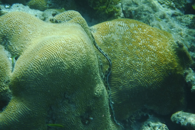 a0207736_22224324.jpg