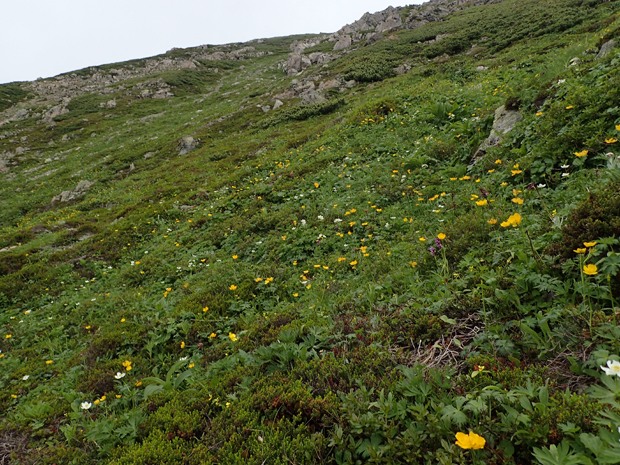 f0214649_10595679.jpg