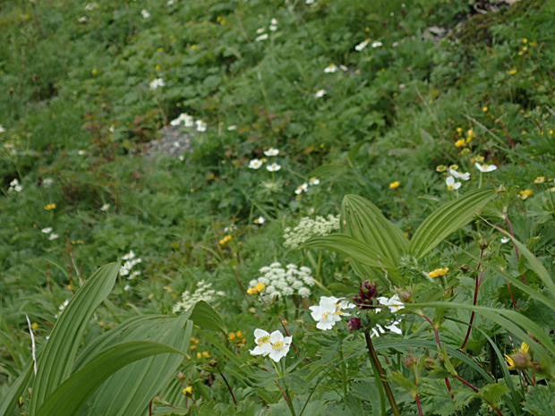 f0214649_1102910.jpg
