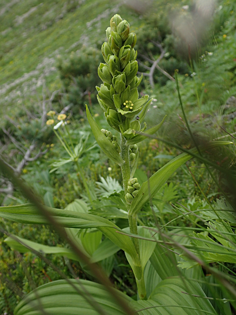 f0214649_111251.jpg