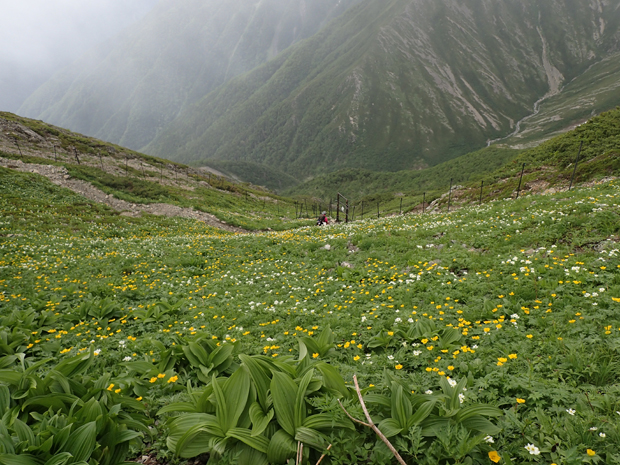 f0214649_1417531.jpg