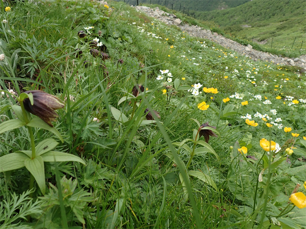 f0214649_14183177.jpg