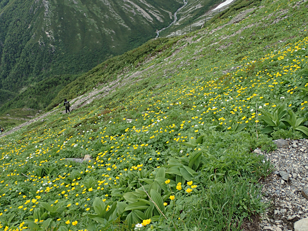 f0214649_1474340.jpg