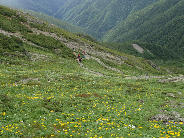 f0214649_1485989.jpg