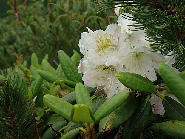 f0214649_1614051.jpg