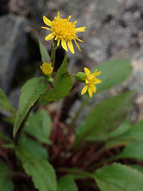 f0214649_16152843.jpg
