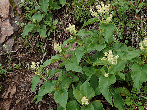 f0214649_3474389.jpg
