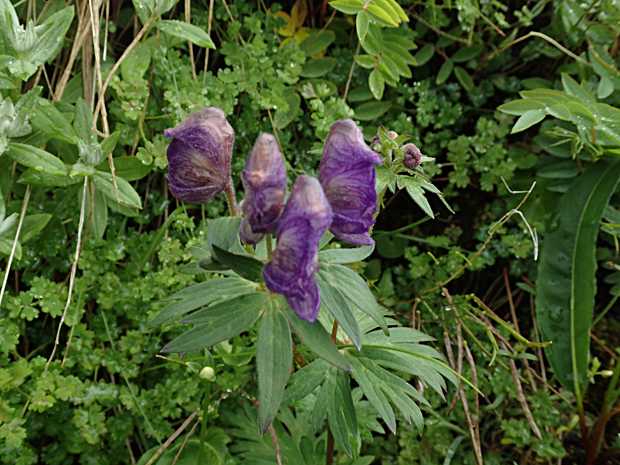 f0214649_3551757.jpg