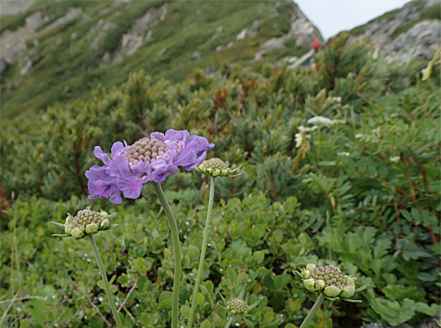 f0214649_3555889.jpg