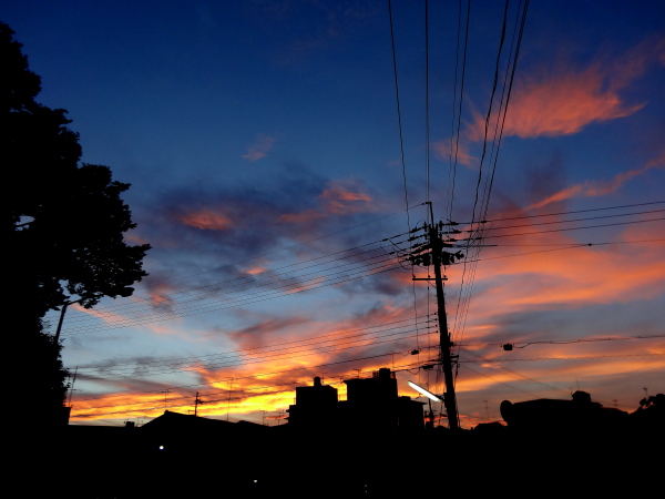 a0024250_12502100.jpg