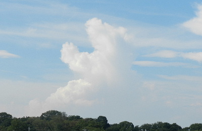e0172950_20525728.jpg