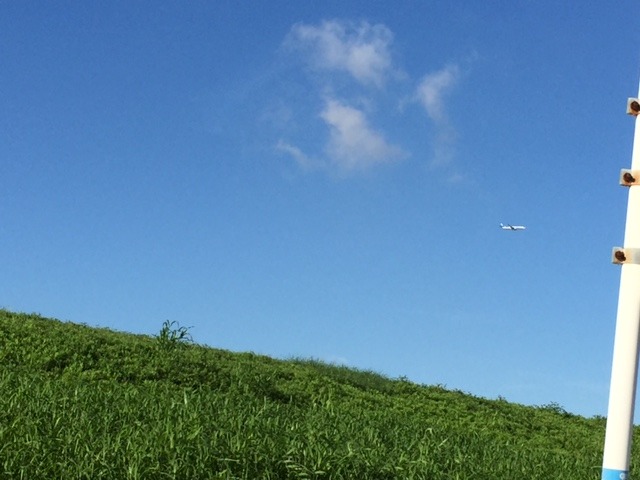 b0044663_12543035.jpg