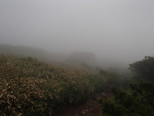 f0130376_11212548.jpg