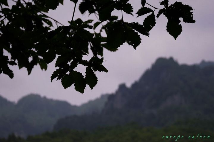 b0150077_1146557.jpg