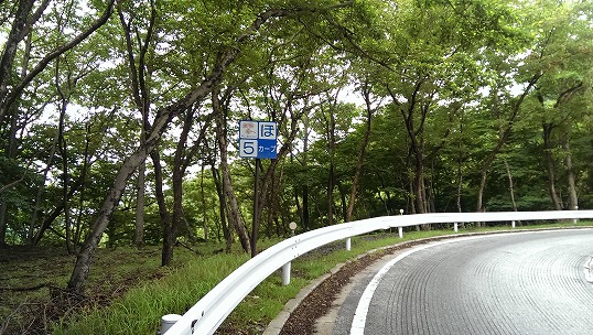 e0020682_2222049.jpg