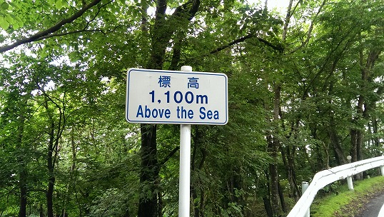 e0020682_2252626.jpg