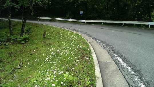 e0020682_22542168.jpg