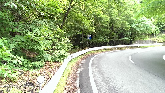 e0020682_234439.jpg