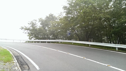 e0020682_2351974.jpg