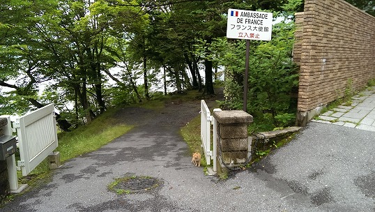 e0020682_23524586.jpg