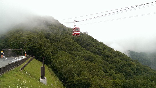 e0020682_2372275.jpg