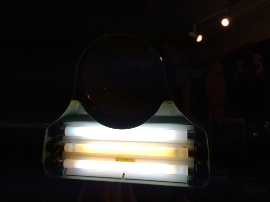 c0078587_2082994.jpg