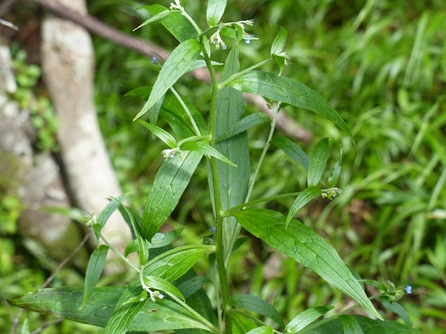 f0357487_2215548.jpg