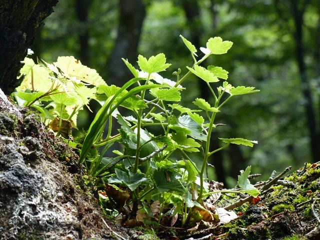f0357487_2225124.jpg