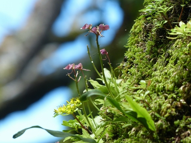 f0357487_22273651.jpg