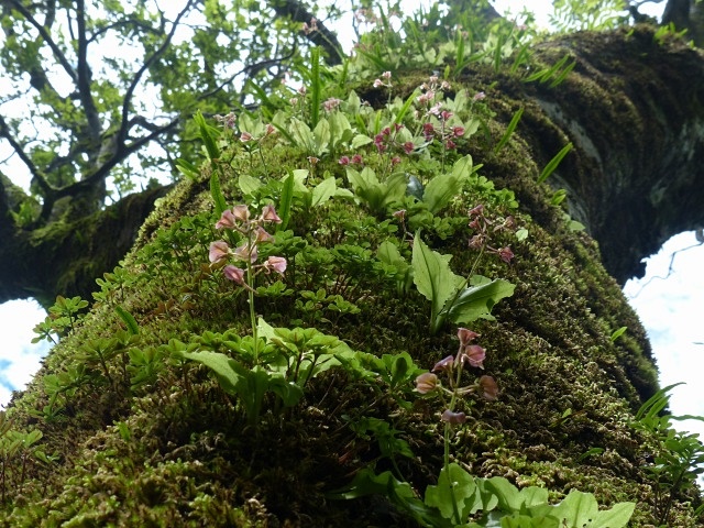 f0357487_22283695.jpg