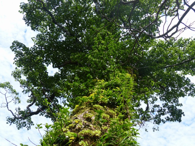 f0357487_22413317.jpg