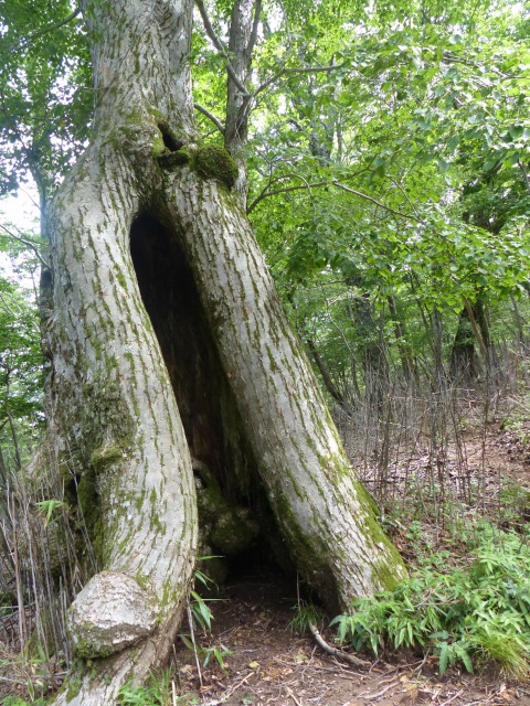 f0357487_224147.jpg