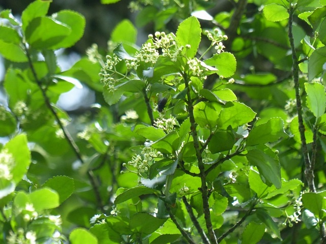 f0357487_2241542.jpg