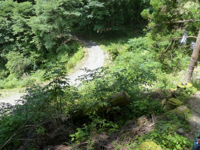 f0357487_22495884.jpg