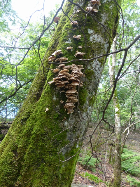 f0357487_2272575.jpg