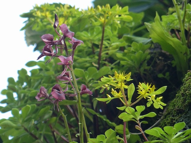 f0357487_227483.jpg